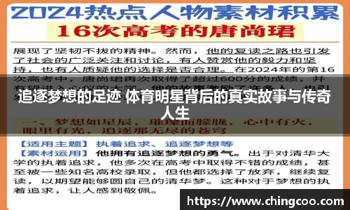 VSport-胜利因您更精彩