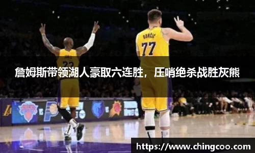 VSport-胜利因您更精彩