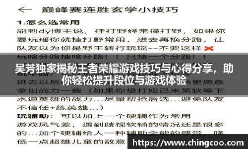 吴芳独家揭秘王者荣耀游戏技巧与心得分享，助你轻松提升段位与游戏体验