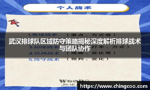 武汉排球队区域防守策略揭秘深度解析排球战术与团队协作