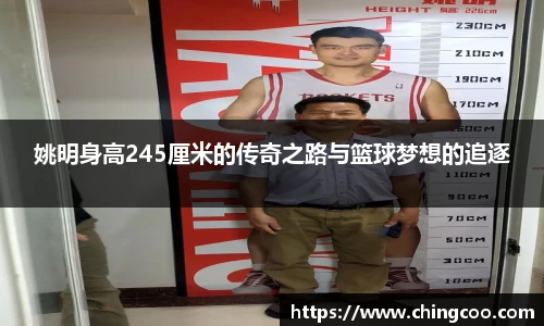 姚明身高245厘米的传奇之路与篮球梦想的追逐