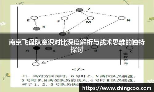 南京飞盘队意识对比深度解析与战术思维的独特探讨