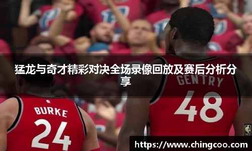 VSport-胜利因您更精彩