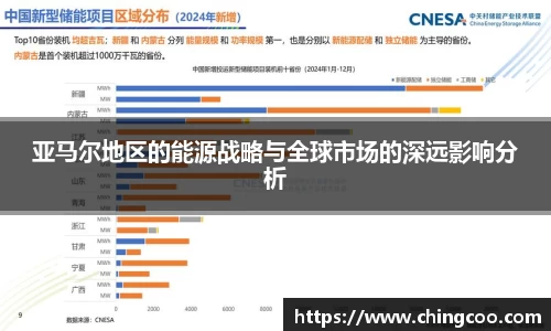 亚马尔地区的能源战略与全球市场的深远影响分析