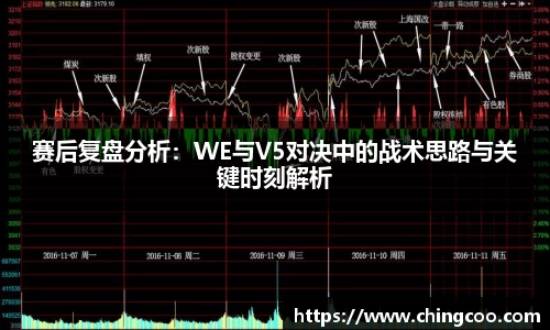 VSport-胜利因您更精彩