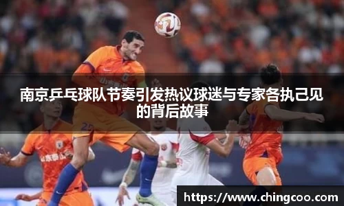 南京乒乓球队节奏引发热议球迷与专家各执己见的背后故事